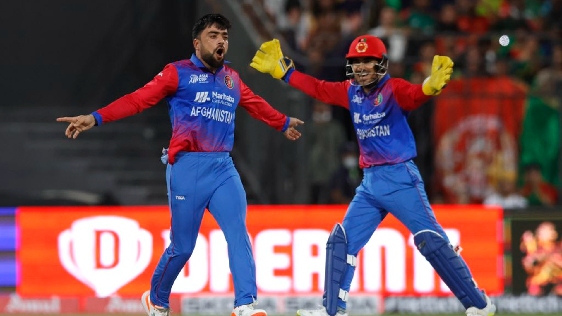 Afghanistan pick uncapped Safi for T20 World Cup