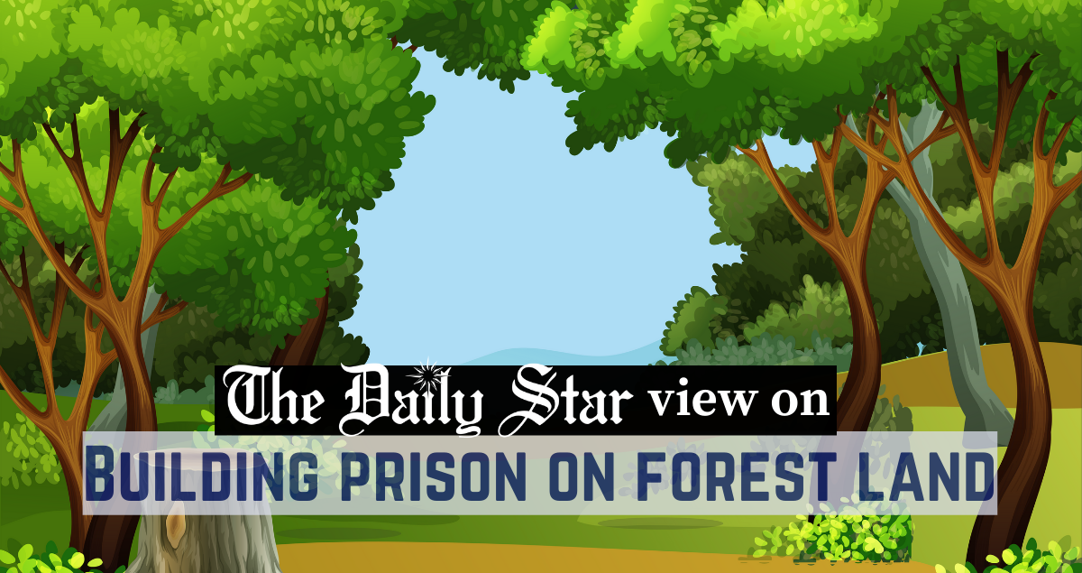 Nothing justifies destroying a forest