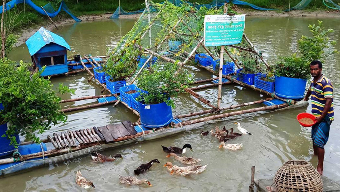 Want to save biodiversity? Look to locally-led approaches