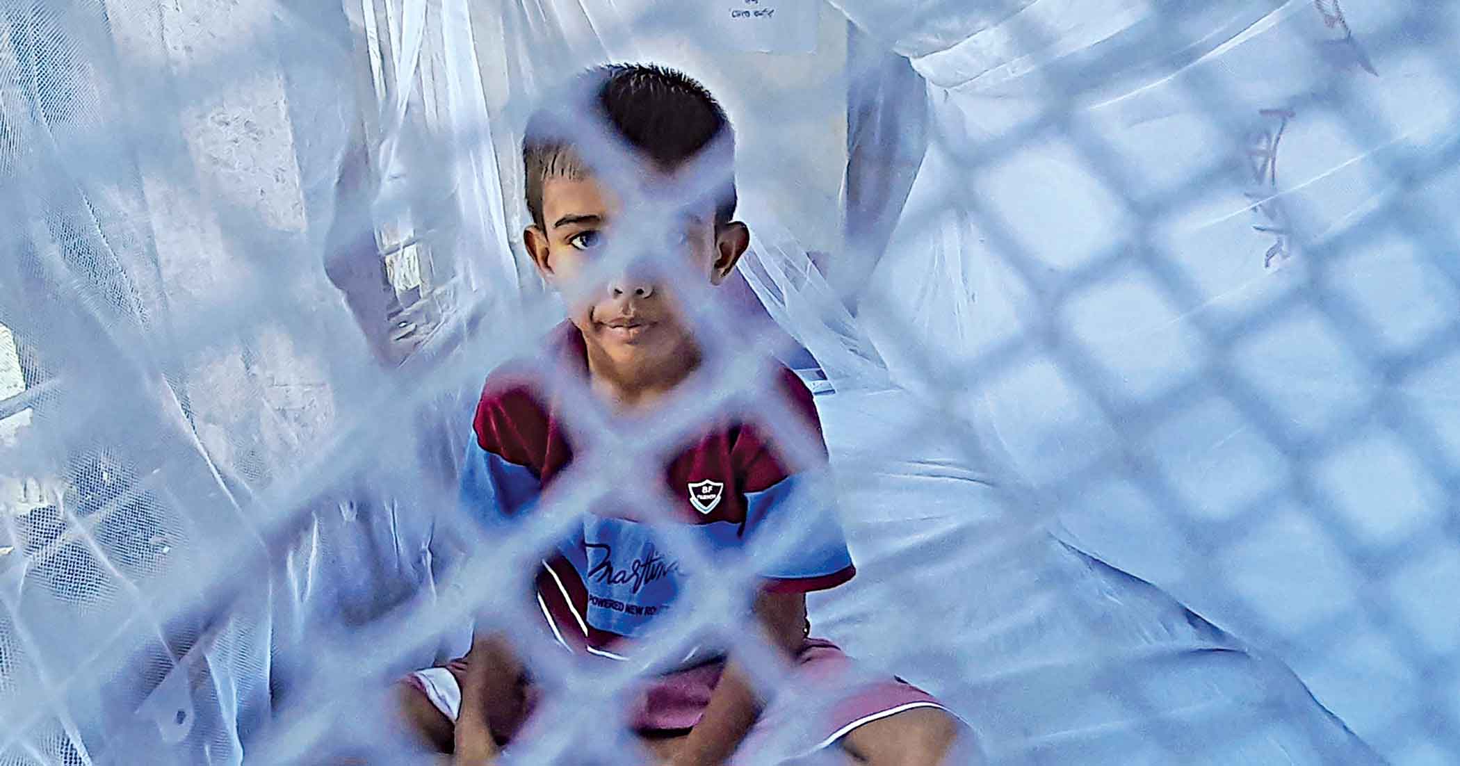 Dengue claims 6 lives in 24hrs