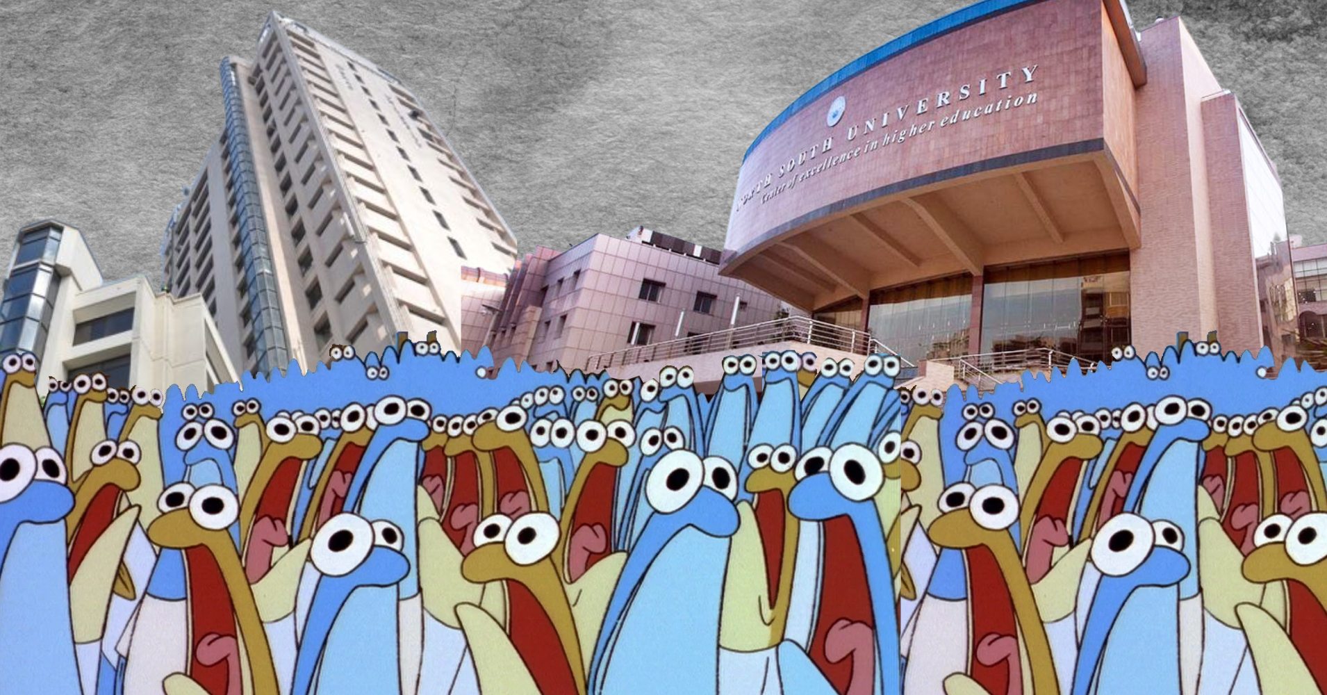 Private Universities have a crowding problem