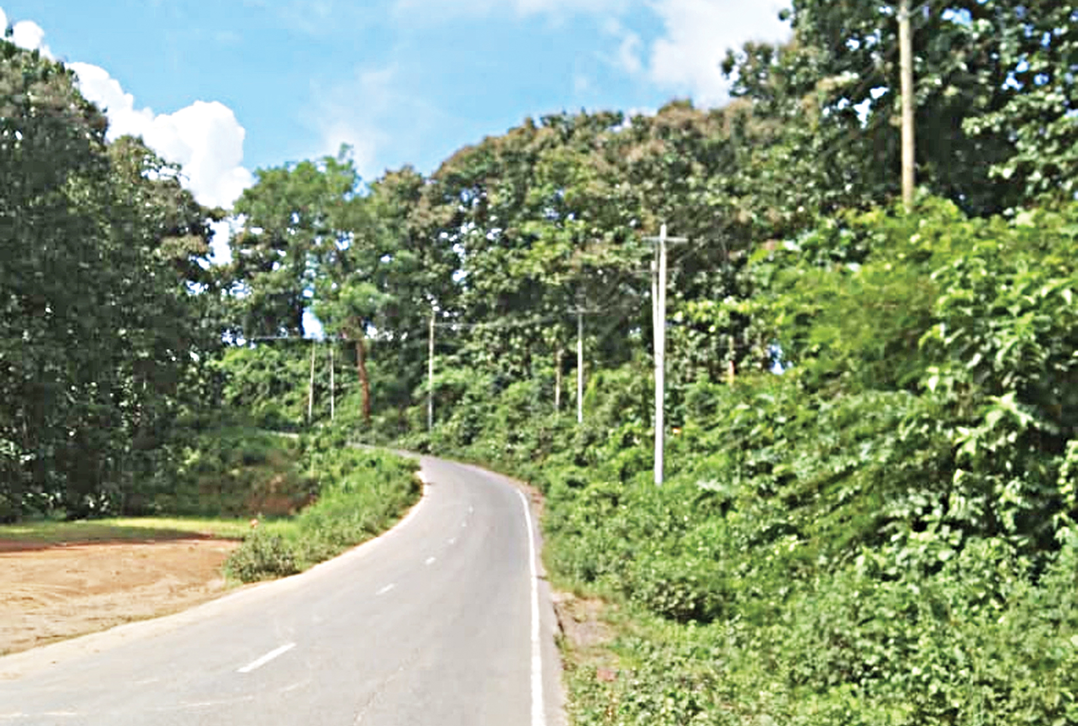 RHD eyes 174 acres of reserve forest