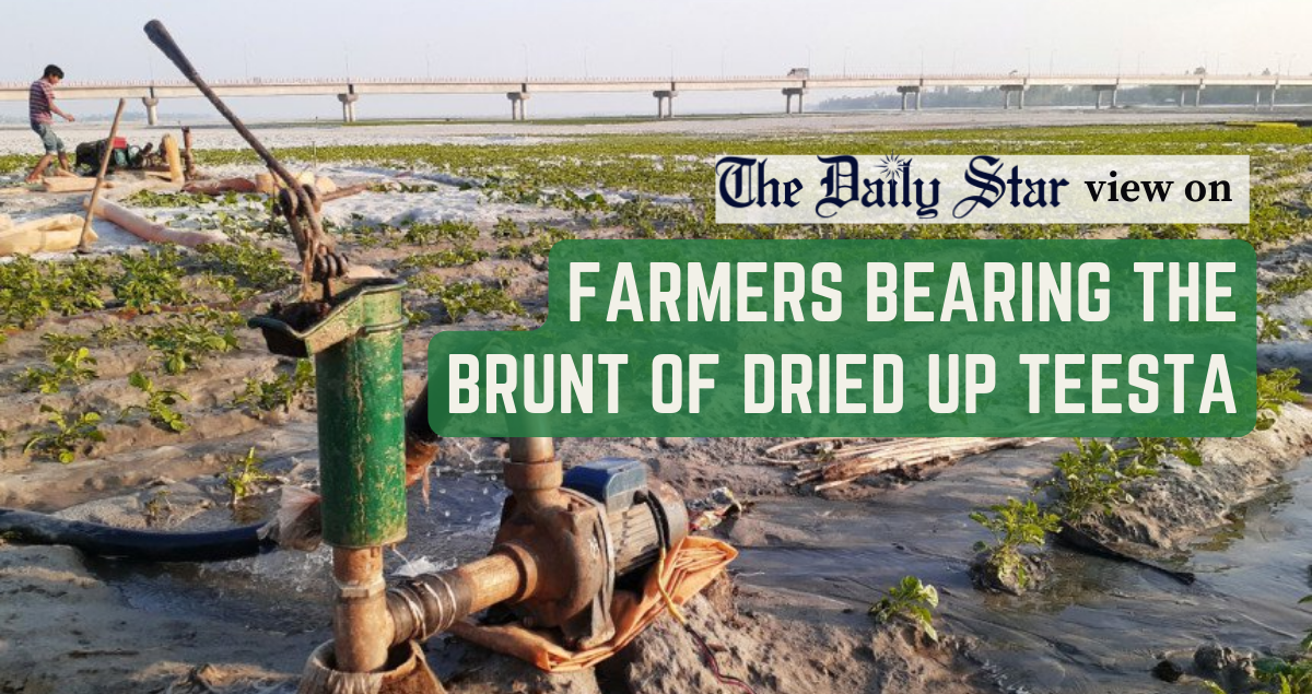 Dried-up Teesta continues to haunt farmers
