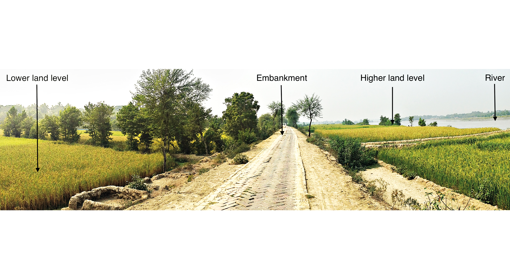 Misreading Climate Change in Bangladesh