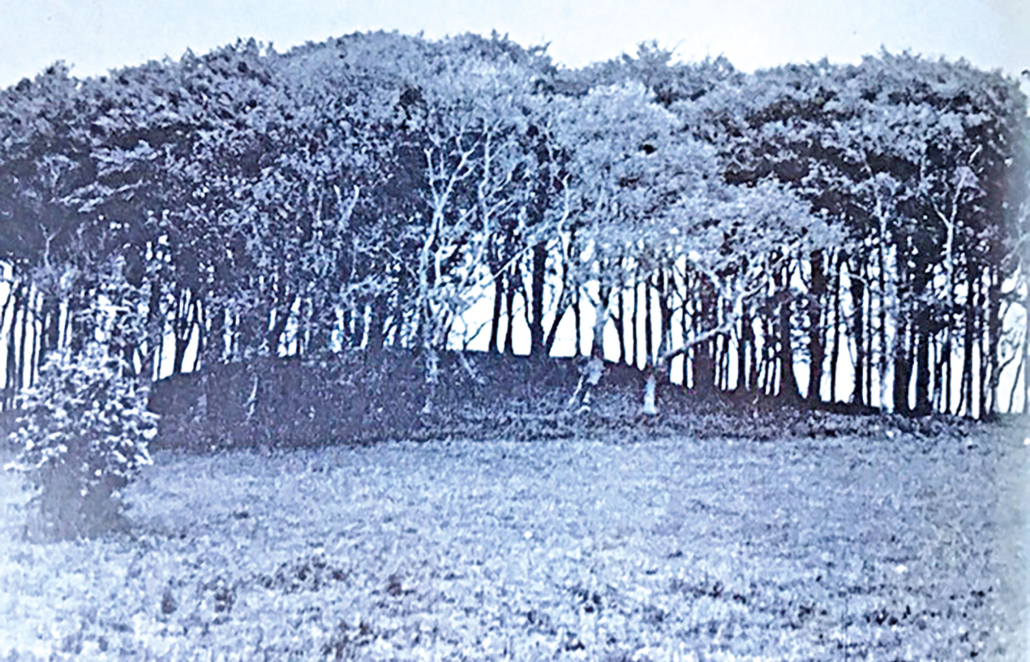 In Ireland once: A story of ghosts