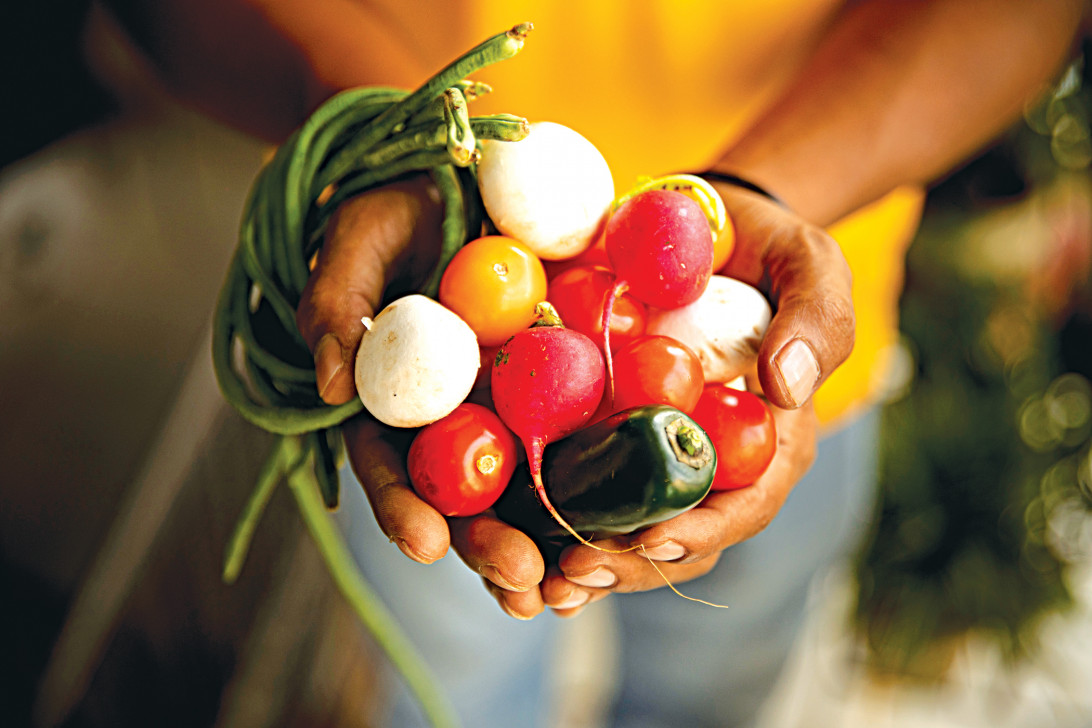 Making our public food distribution system work
