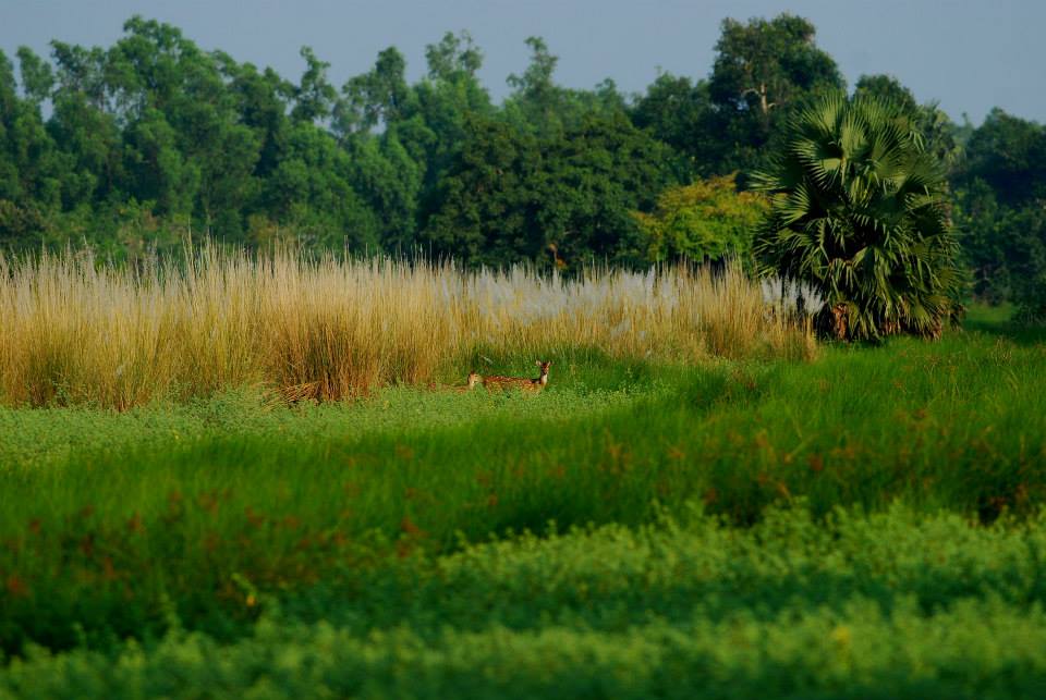 World Wildlife Day: Conversations with conservationists