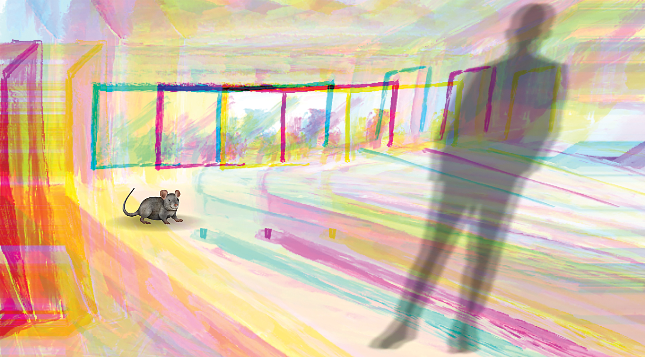 The man, the rat and the room