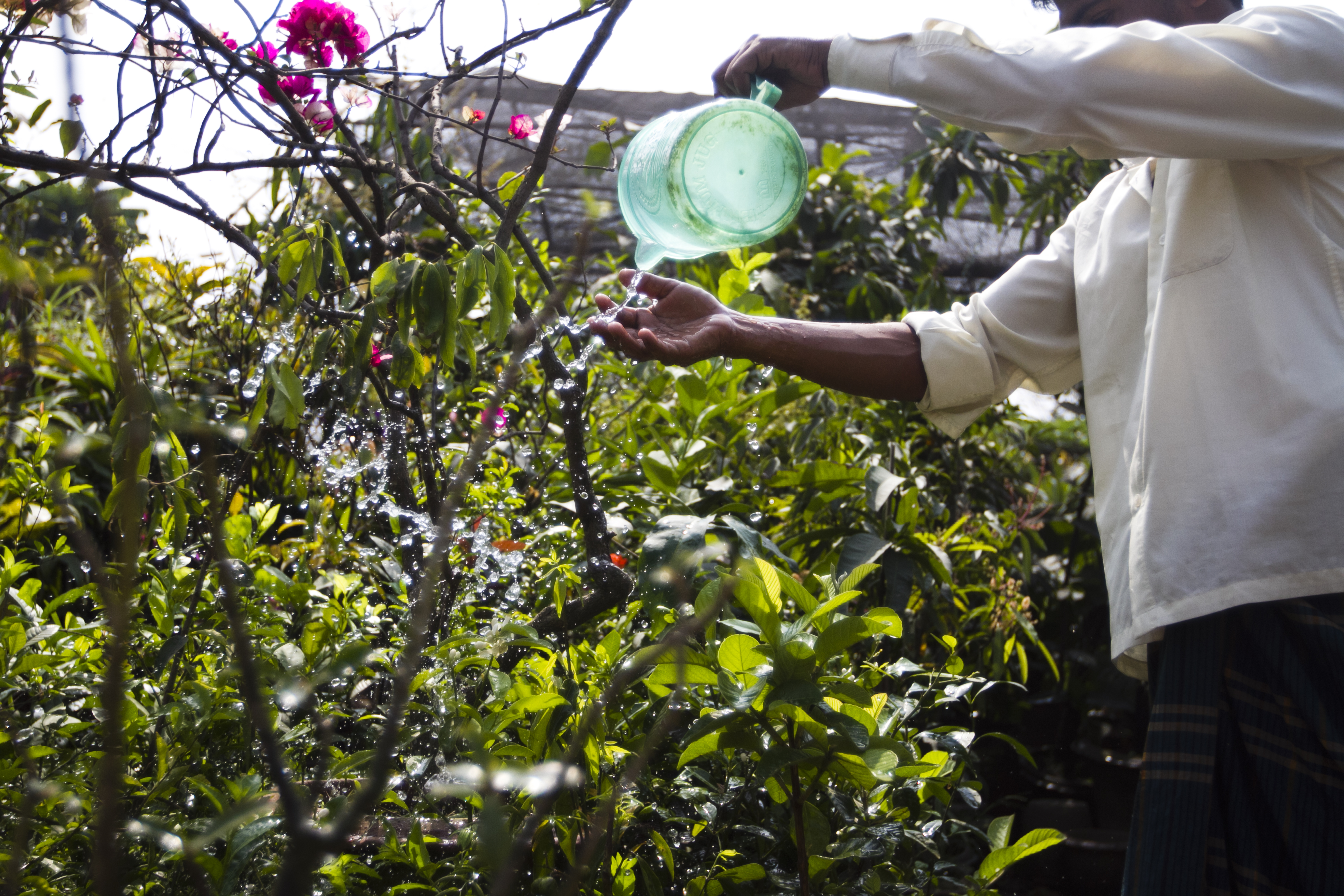 Practising mindfulness through gardening
