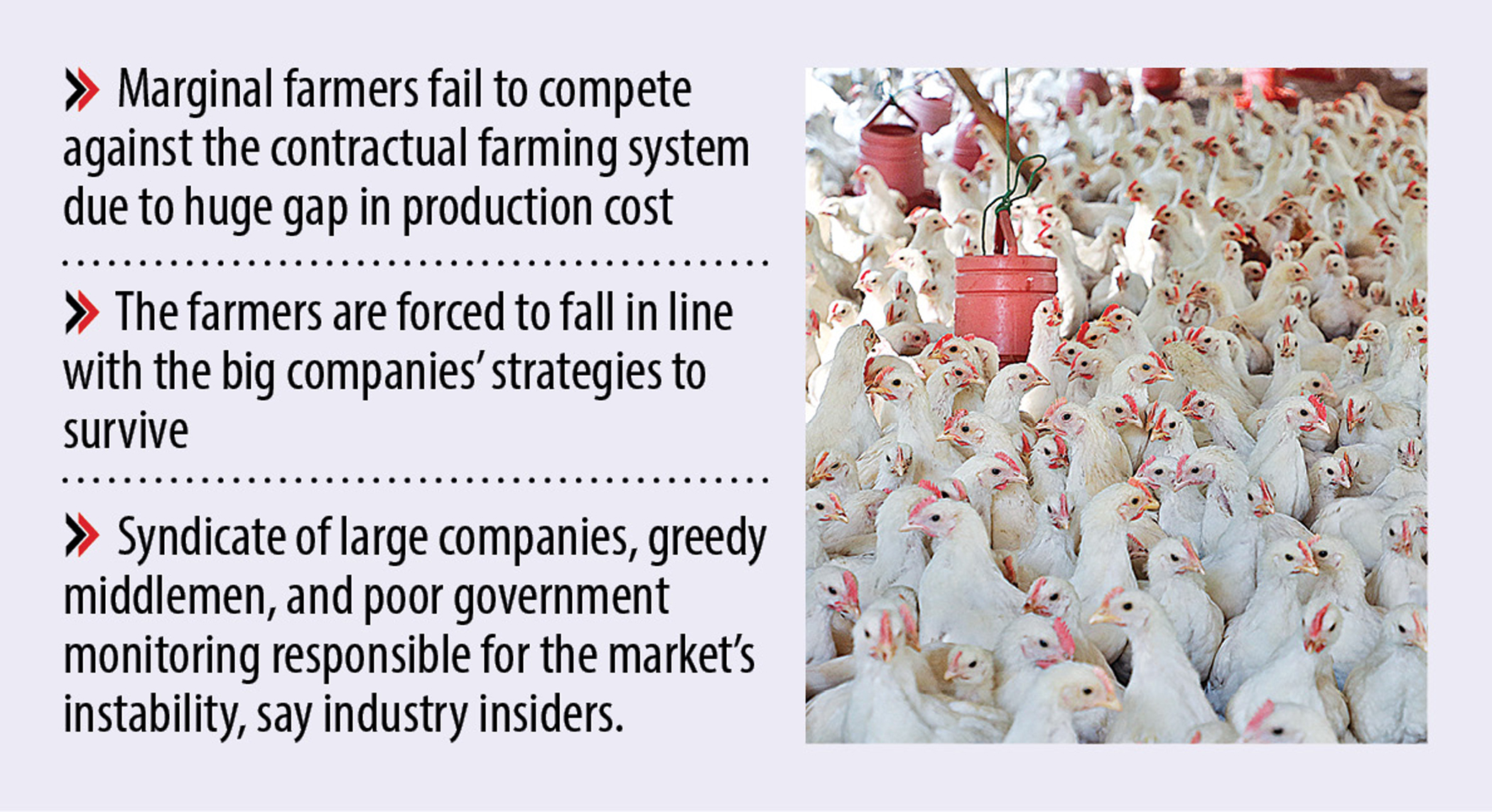 Contract farming takes over poultry industry