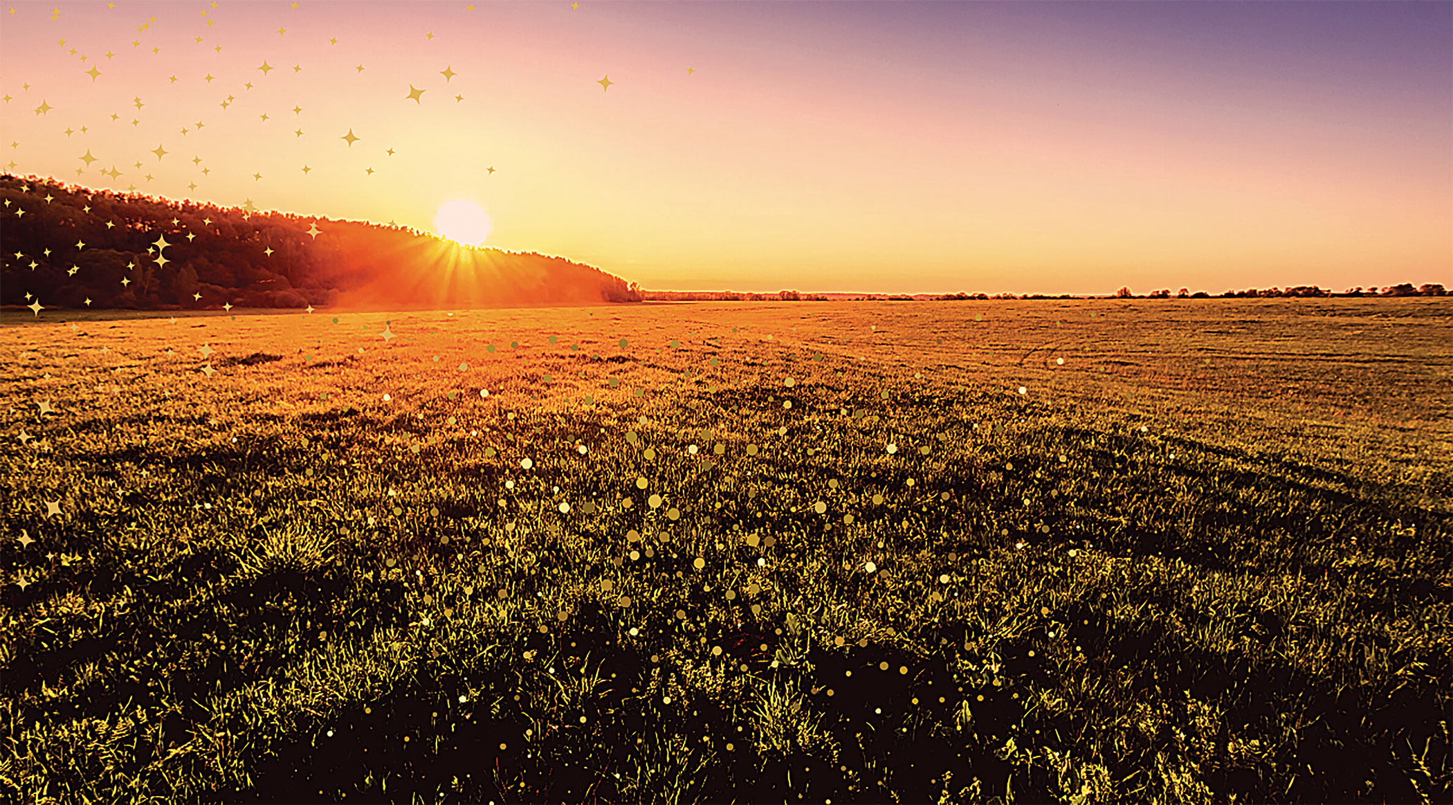 I am found in fields