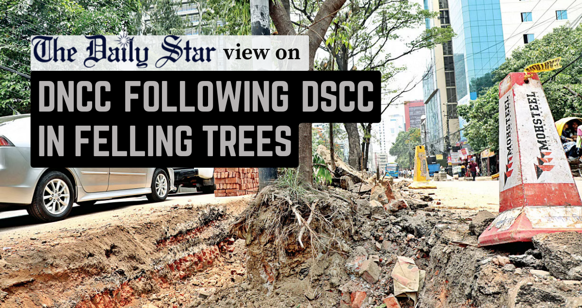 Dhaka can’t afford to lose more greenery