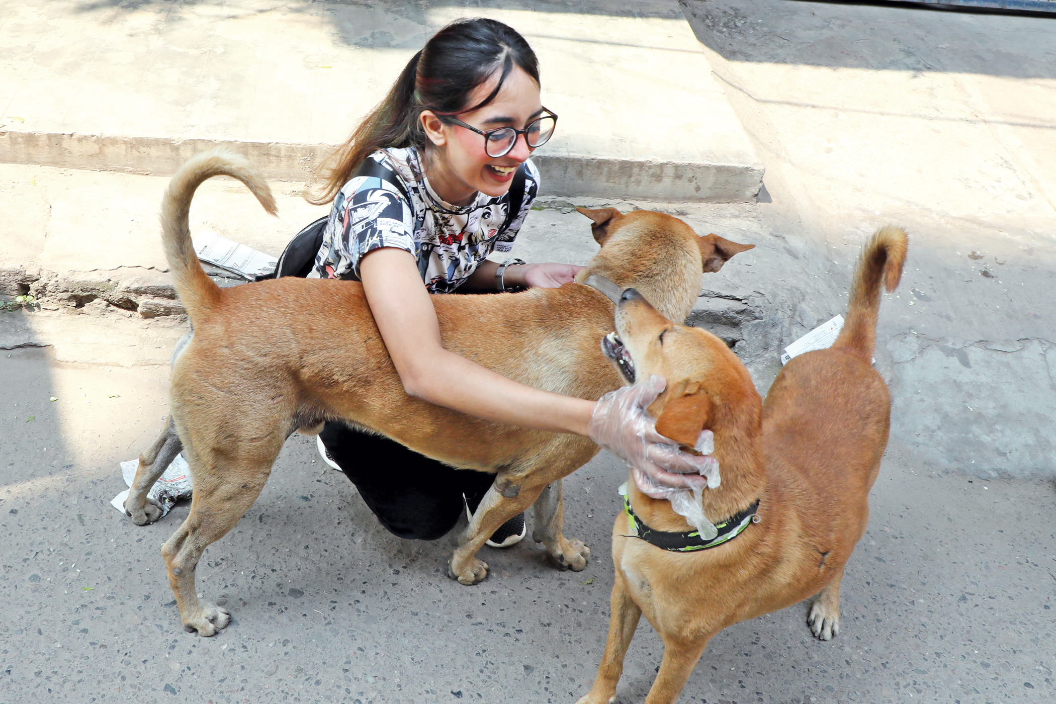 Feed Doggo Fridays:  Standing by stray animals