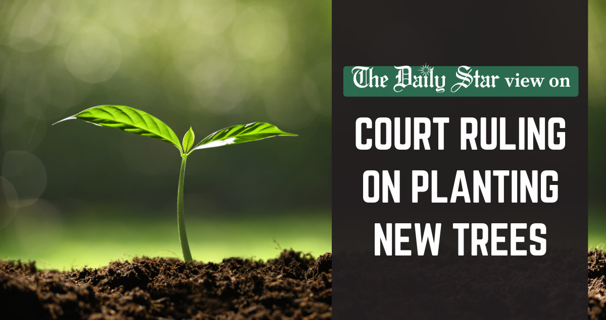 Tree for tree, but at what cost?