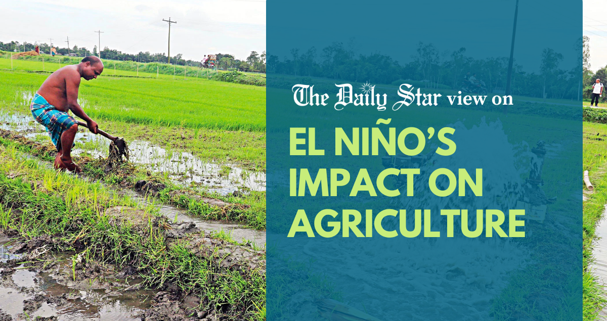 Can our crops survive the erratic weather?