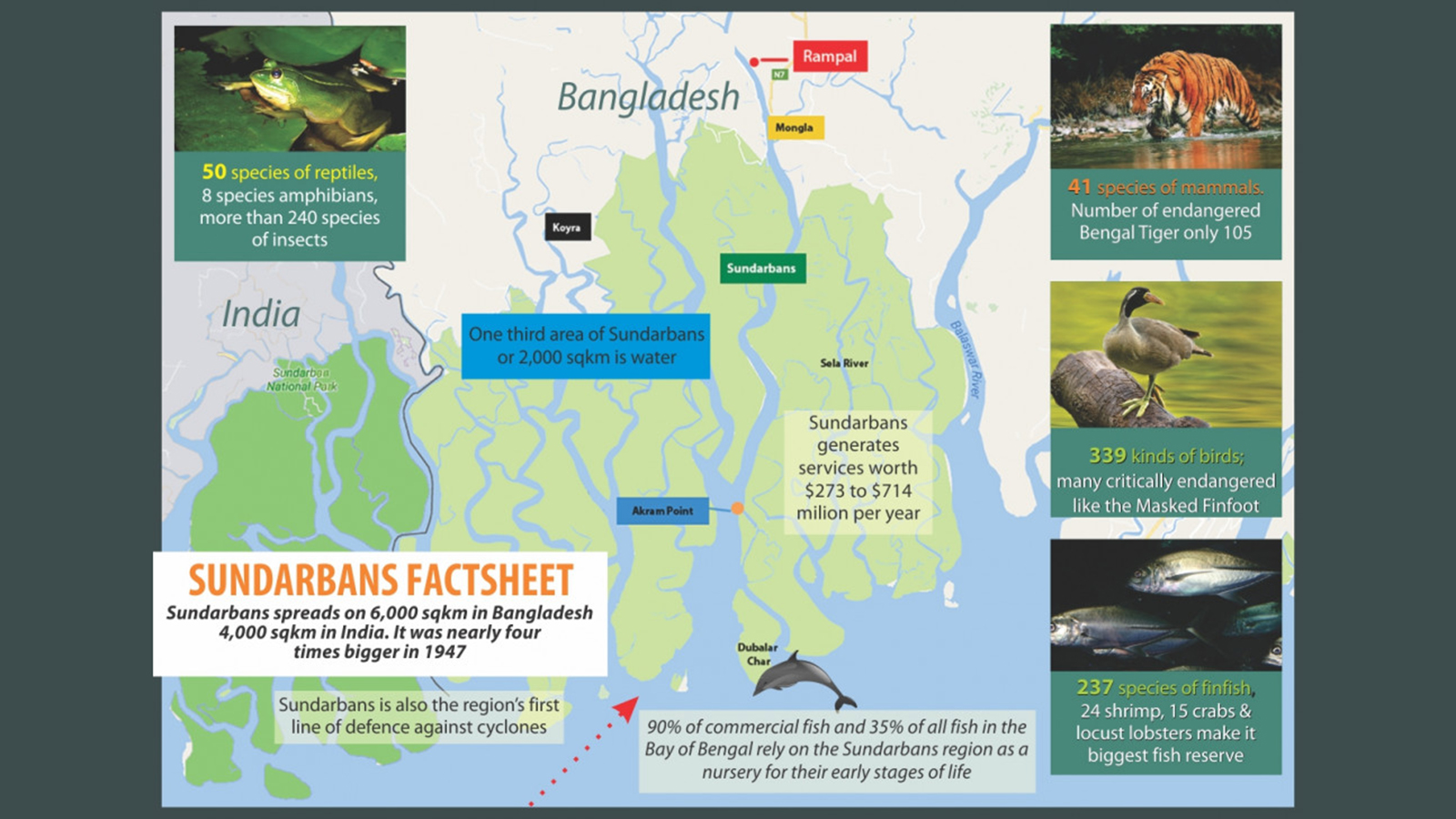 Not merely a forest but life 