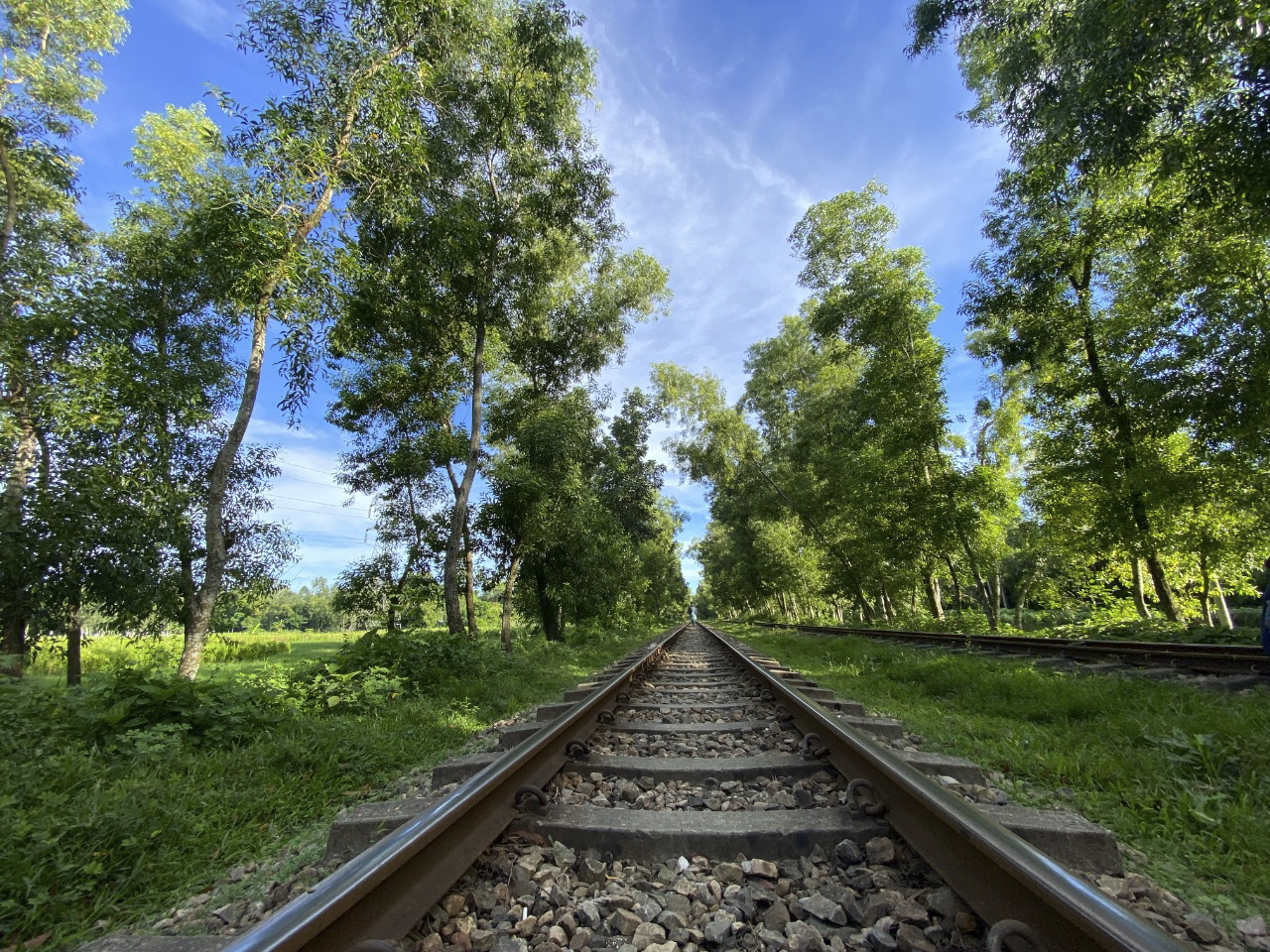 Reasons why you should travel within Bangladesh