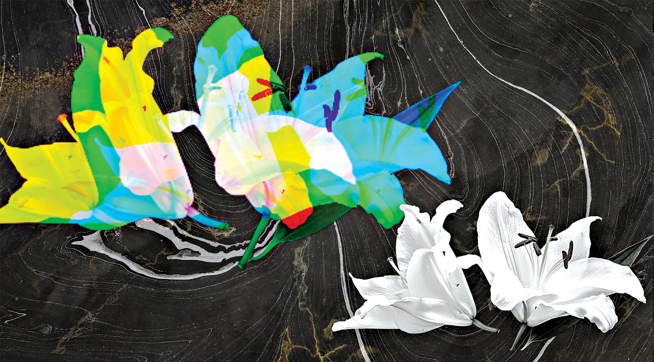 Pandemic Nocturne 1: December Dirge