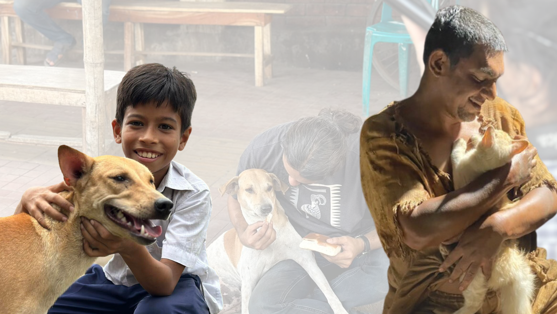 Furry celebs: How do our adorable four-legged casts operate?