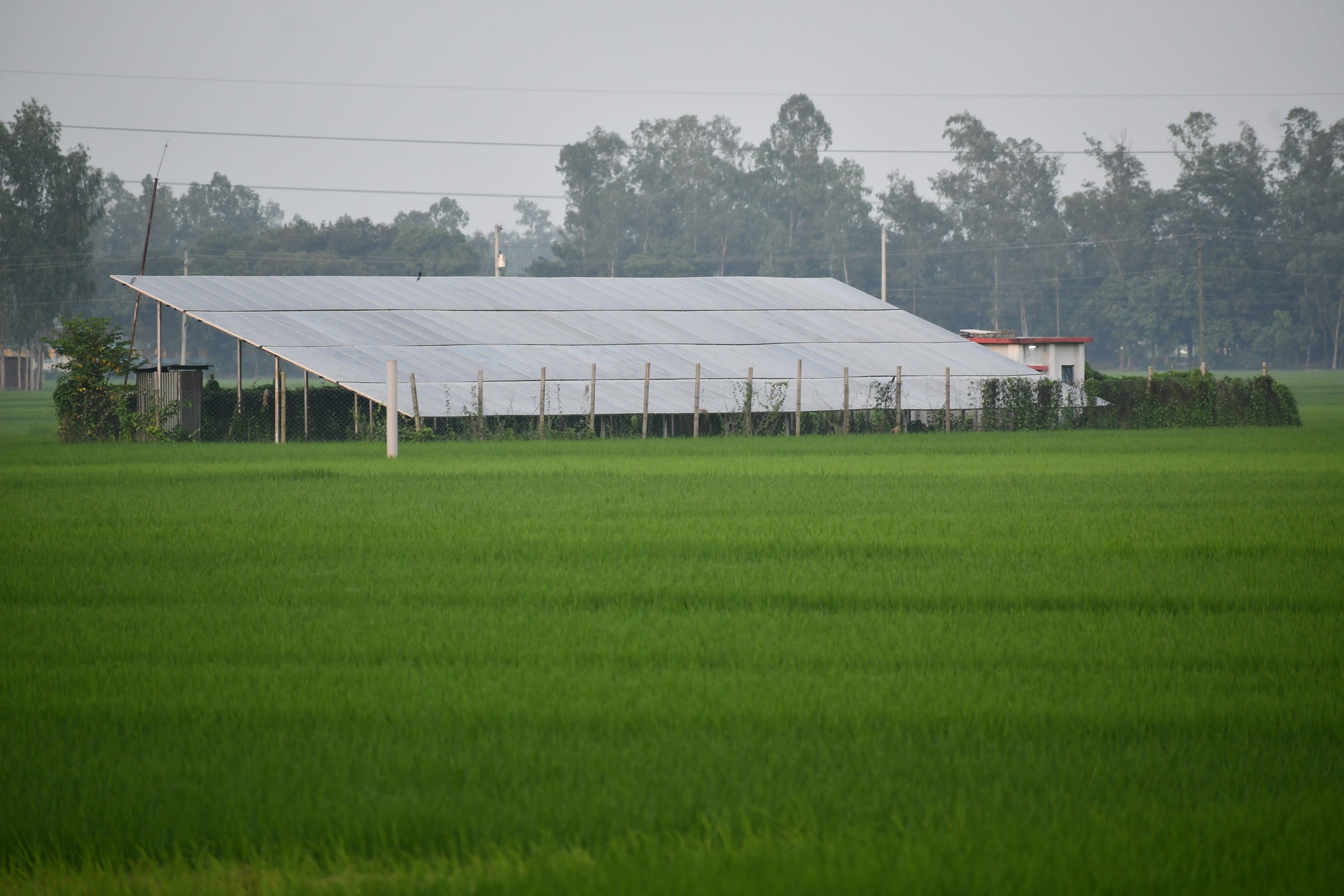 Why solar irrigation pumps are the future of agriculture