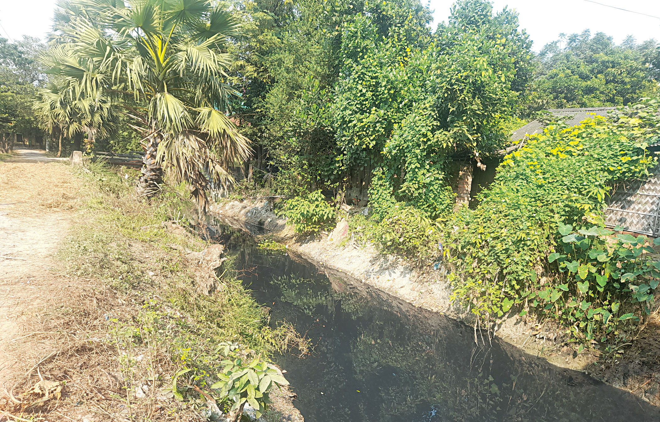 In Cumilla, canals run black