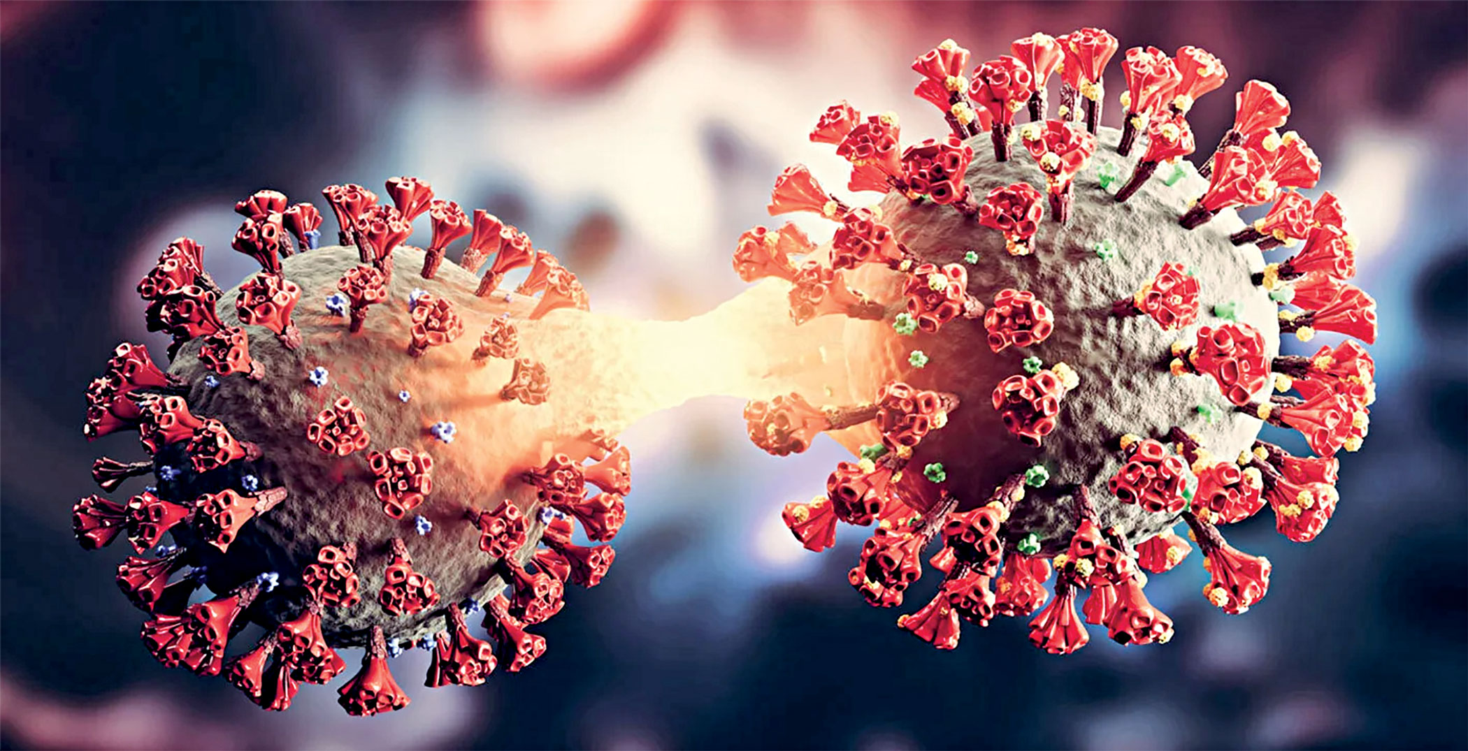 What you need to know about Nimbus, the new COVID-19 variant