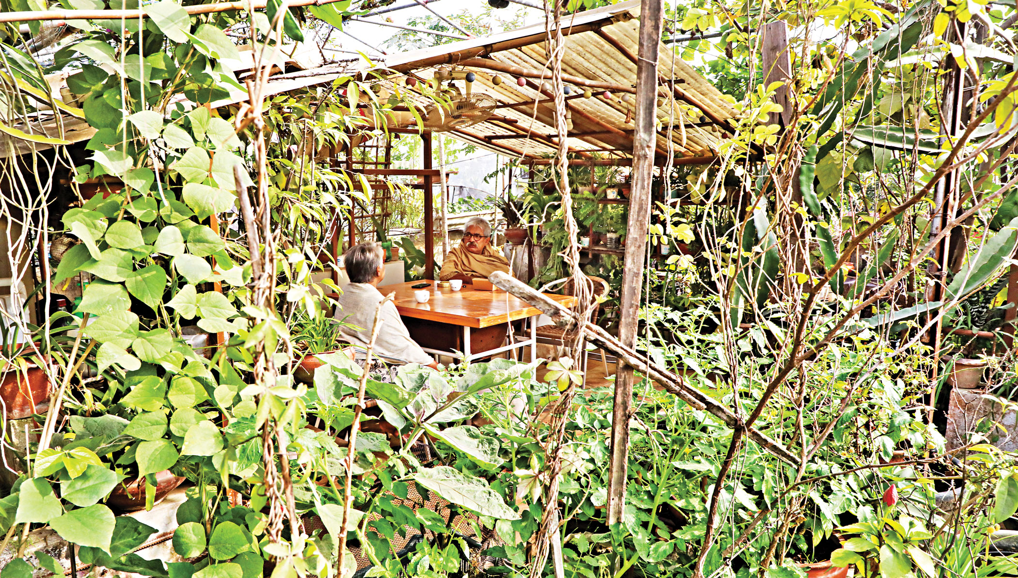 The wondrous world of rooftop gardening