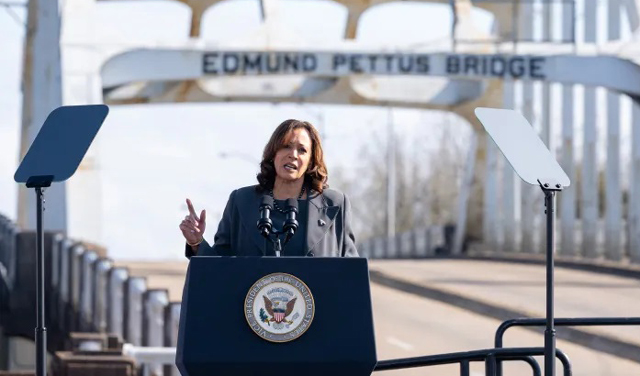 US vice president calls for 'immediate ceasefire' in Gaza