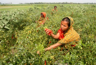 Enhancing rural women's financial inclusion