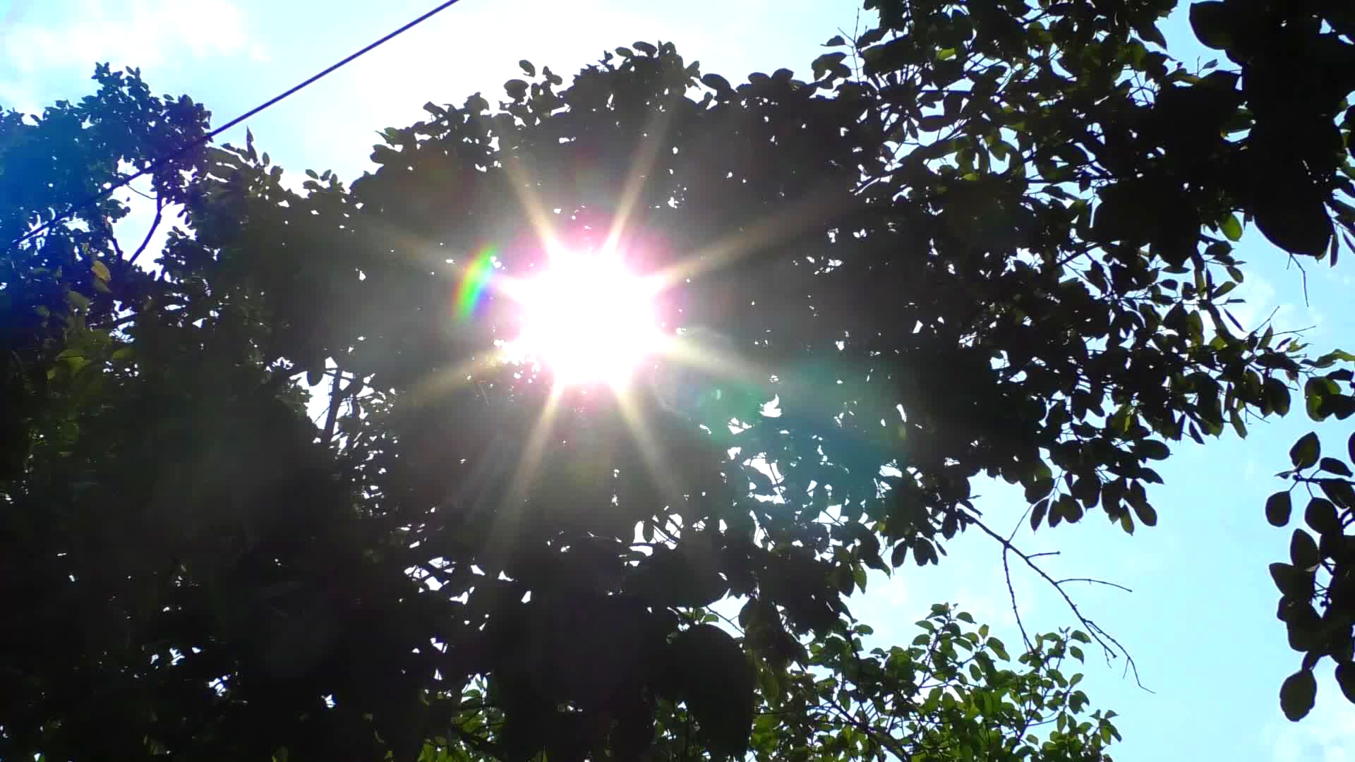 2 teachers die in Ctg, Jashore amid heatwave