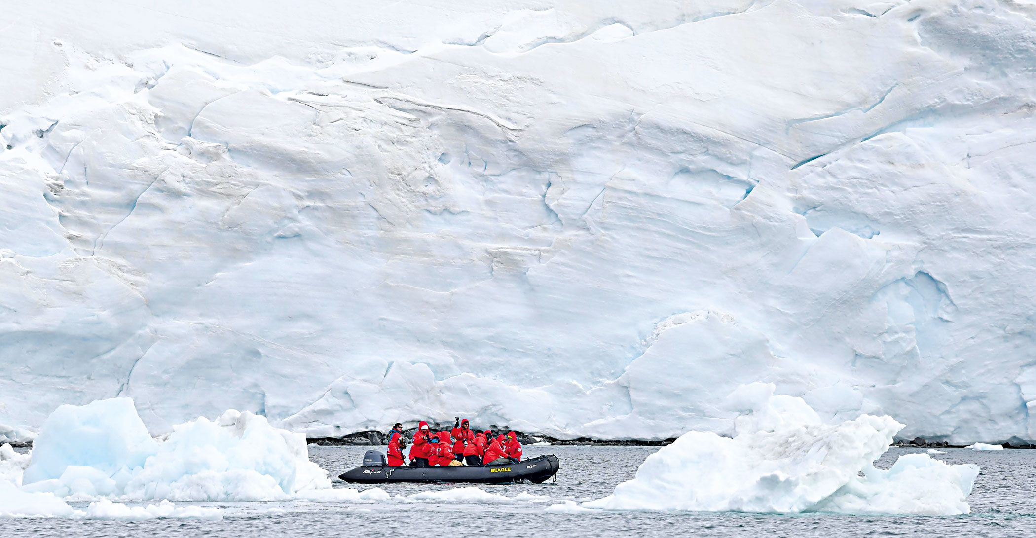 Irresistable Antarctica