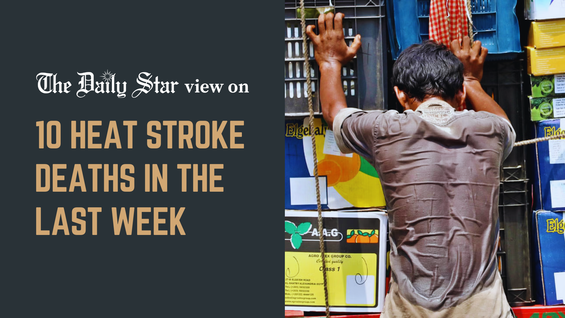 Rising human toll of a deadly heatwave