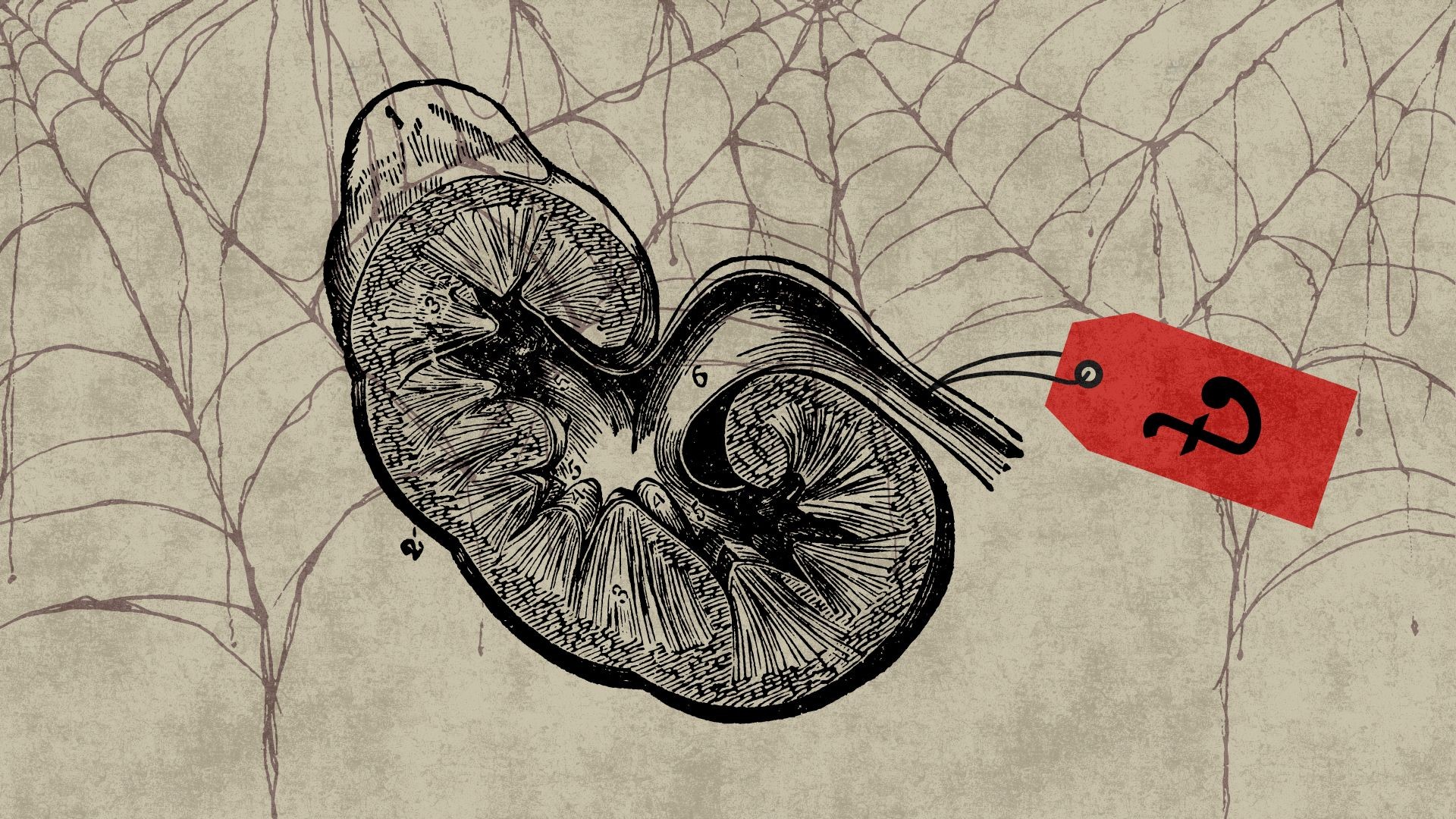 One, two, three of social deceptions