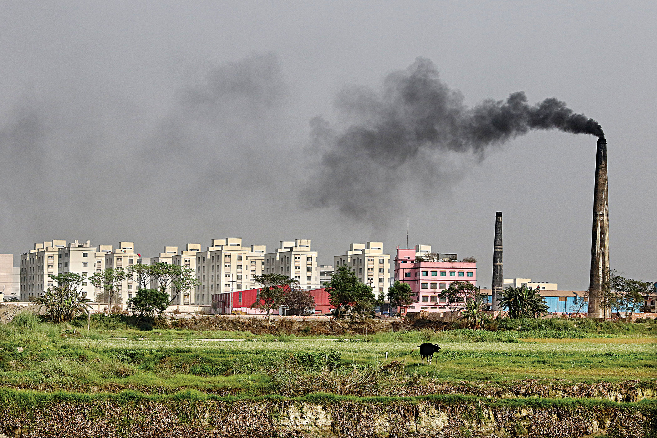 Dhaka’s Toxic Air: High levels of cancer-causing elements found