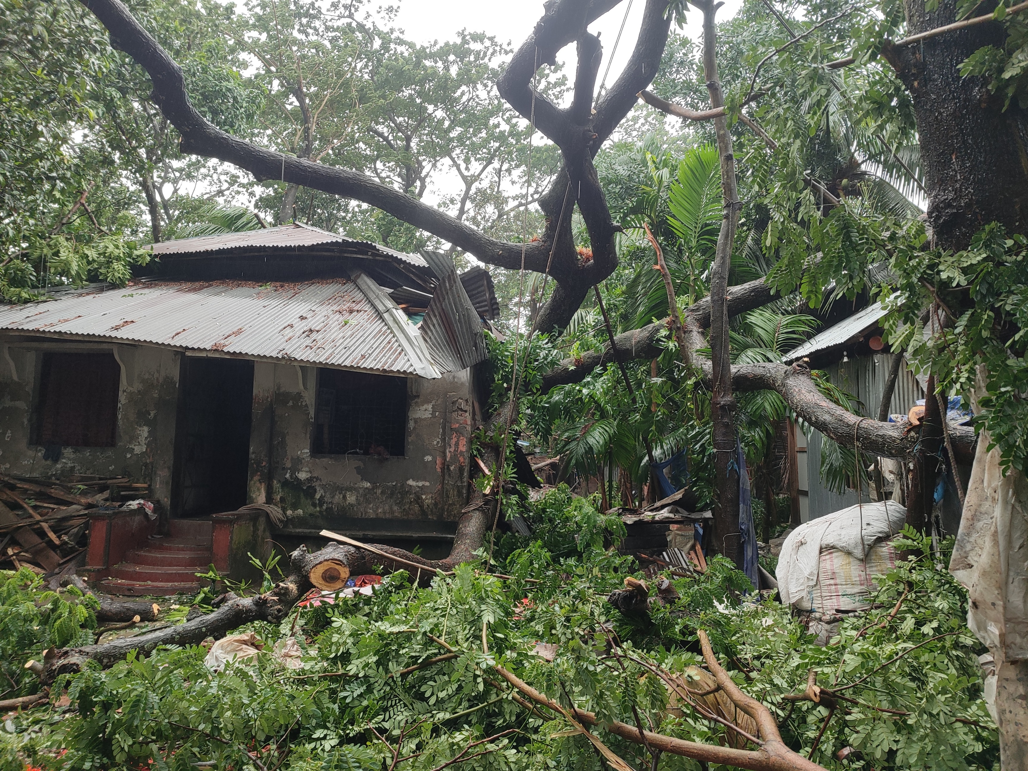 Cyclone survivors are not just numbers