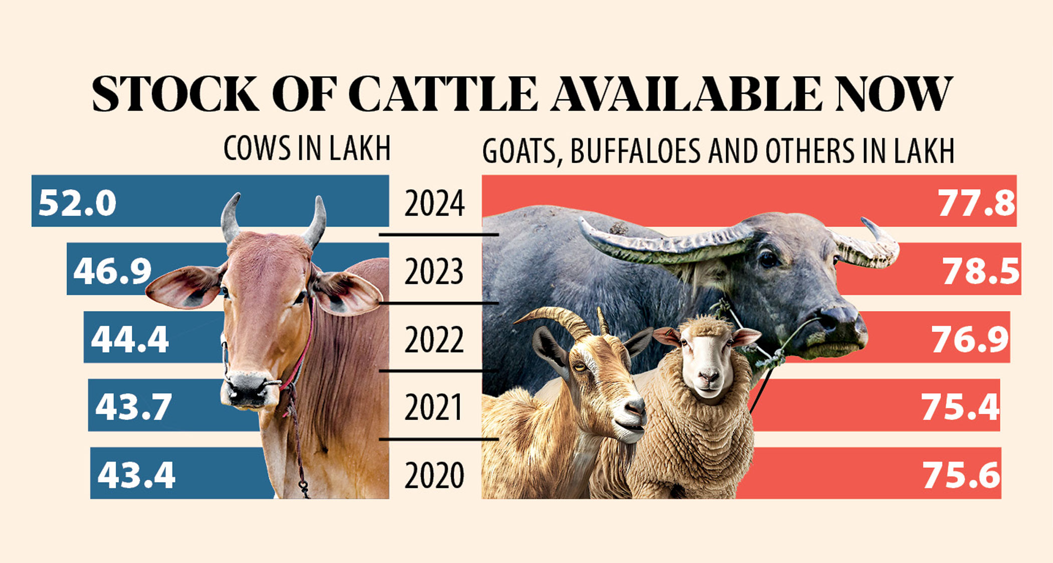 Record number of sacrificial animals up for Eid sale