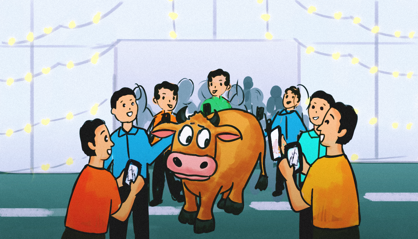 Cow running amok in a shopping mall: It’s not a ‘moo’ point