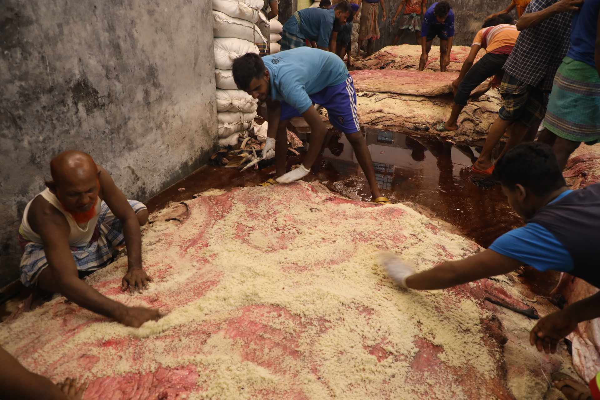 Rawhides being sold at low prices