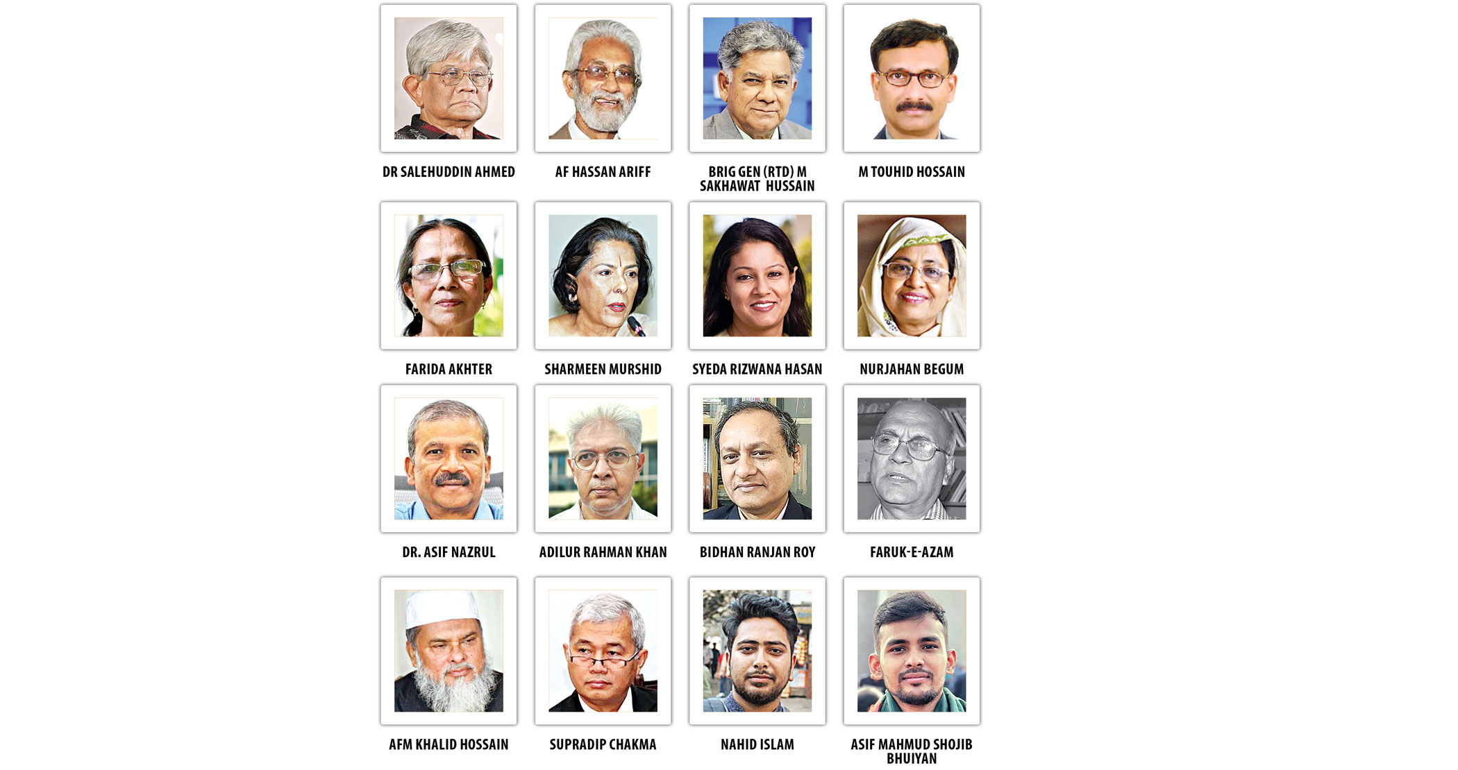 Advisers to the interim government