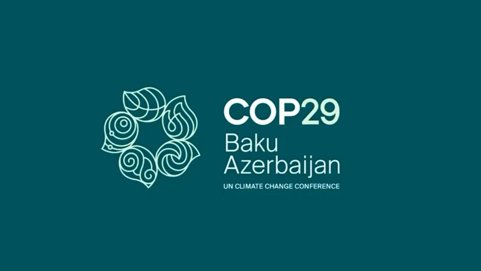 COP 29: Civil society for ambitious climate action