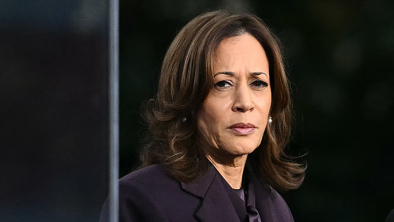 What went wrong for Harris? Experts weigh in