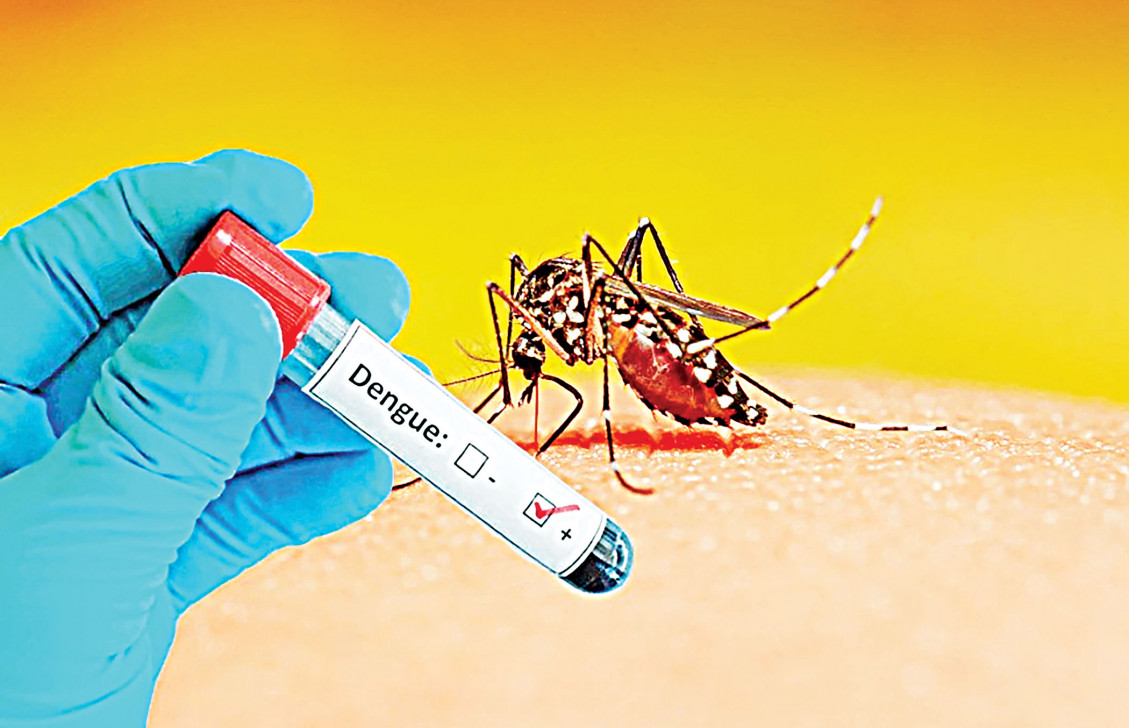 Integrated Aedes management could help Bangladesh fight dengue