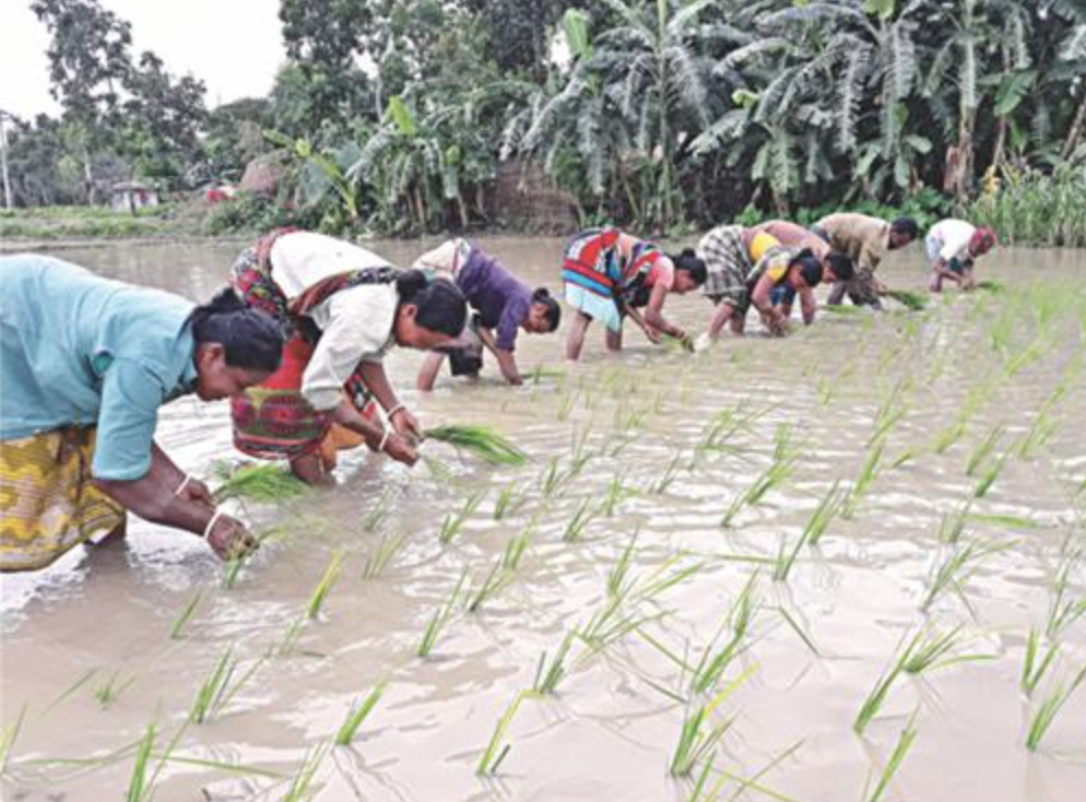 Time to recognise women's contribution in agriculture