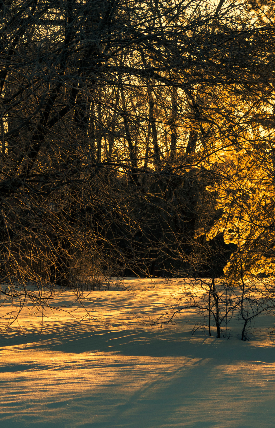 Reserved winter kiss