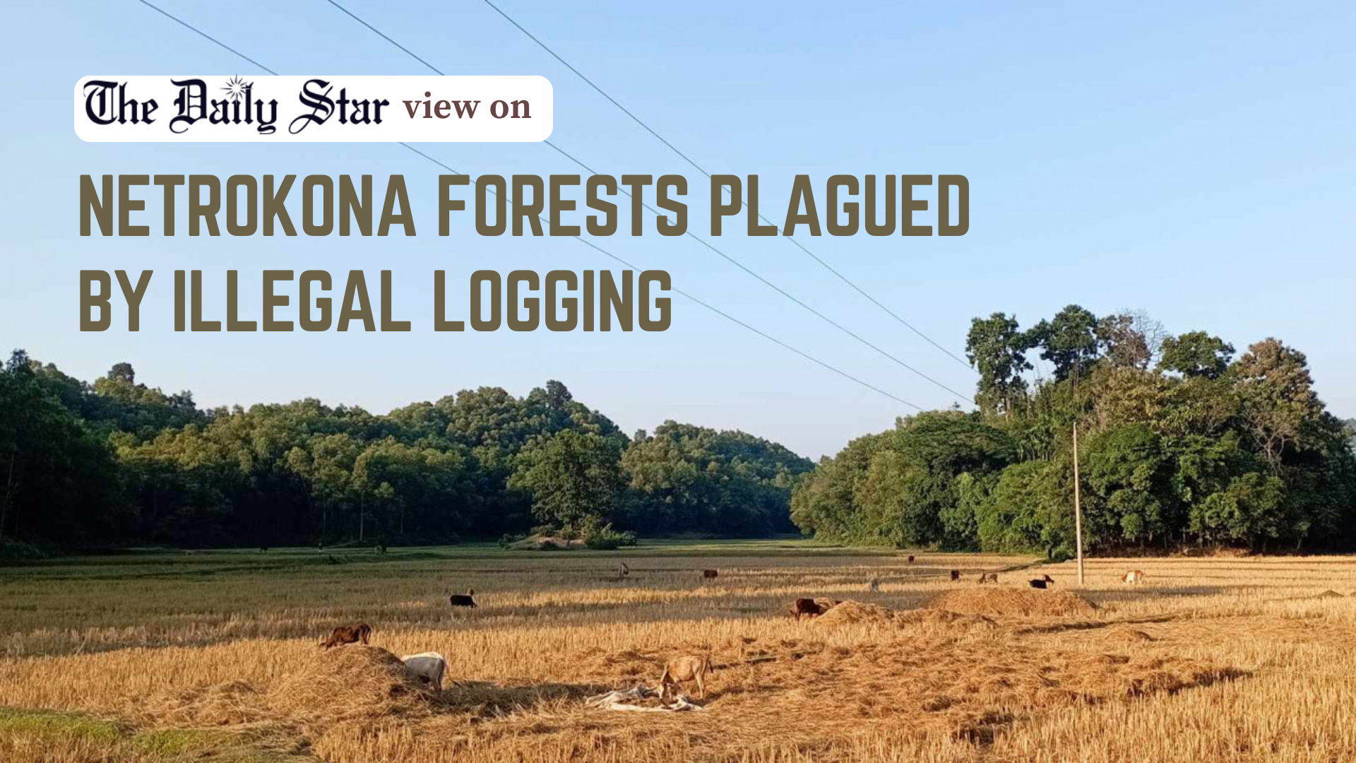 How long before the environmental pledges are honoured?