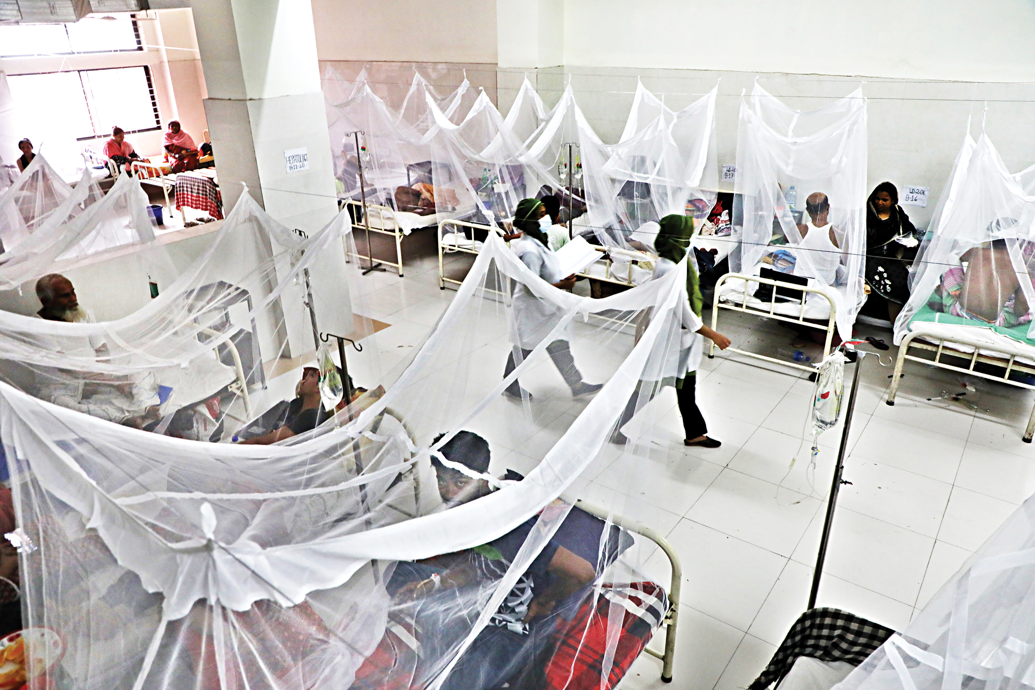 We need a permanent health commission