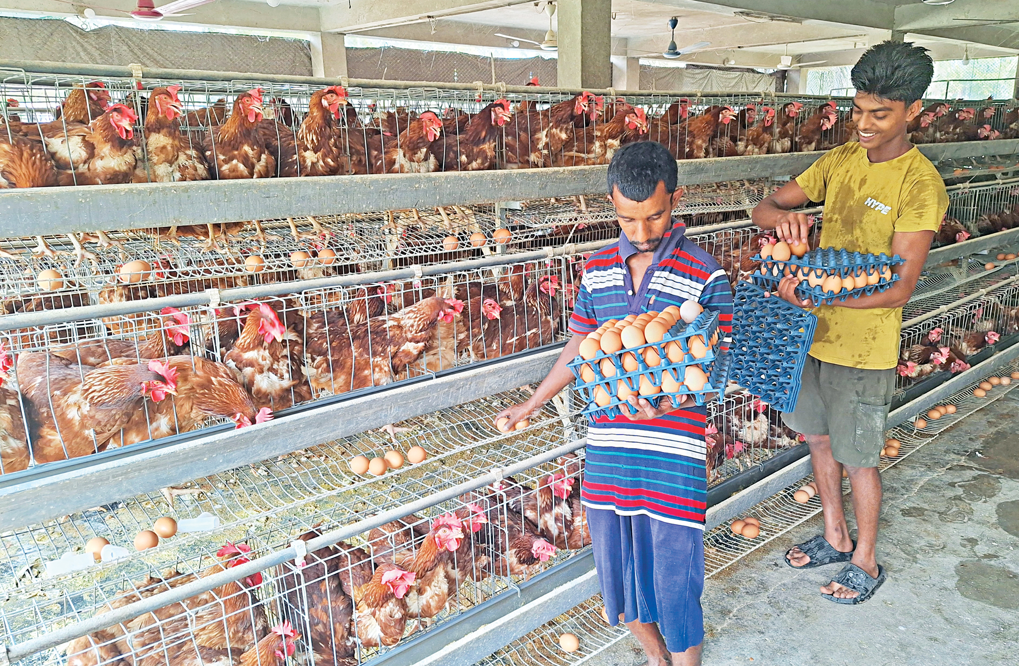 Soybean output, imports rise amid growing feed demand