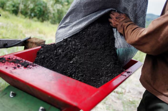 Biochar: A climate solution from the ground up