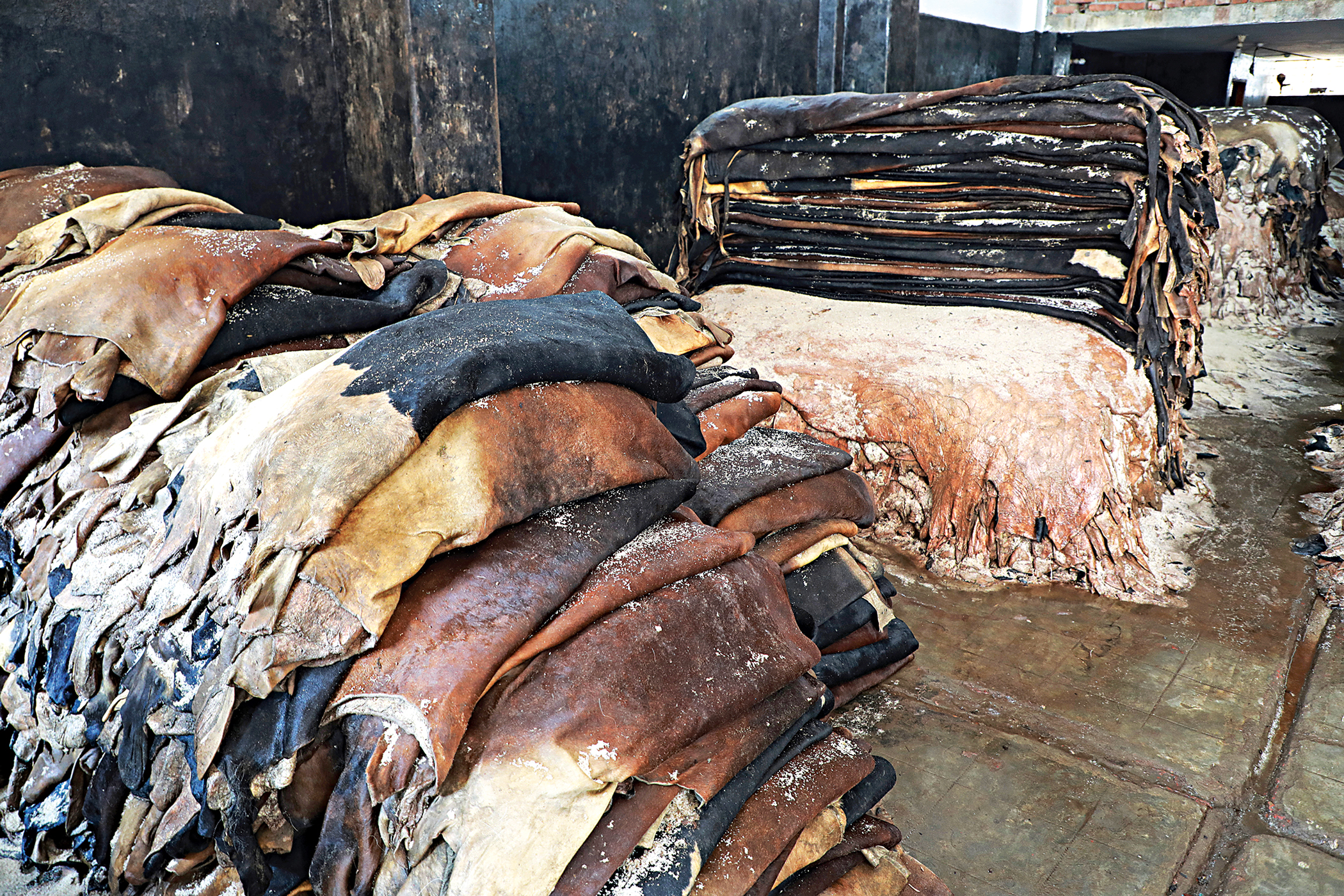 Govt to allow rawhide exports despite tanners’ objections