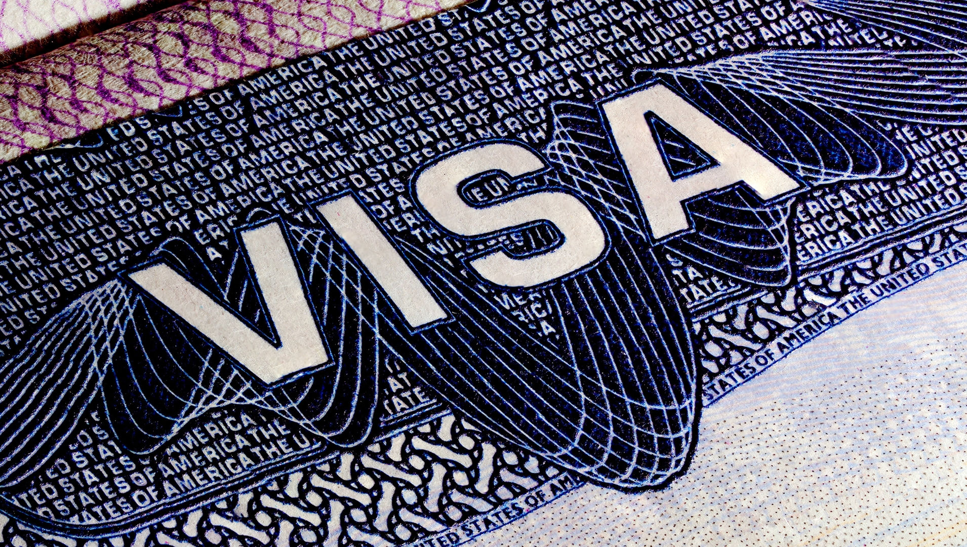 Appointments for US student visa halted